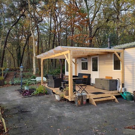 Chalet Met Veranda Aan Bosrand Vledder Екстер'єр фото