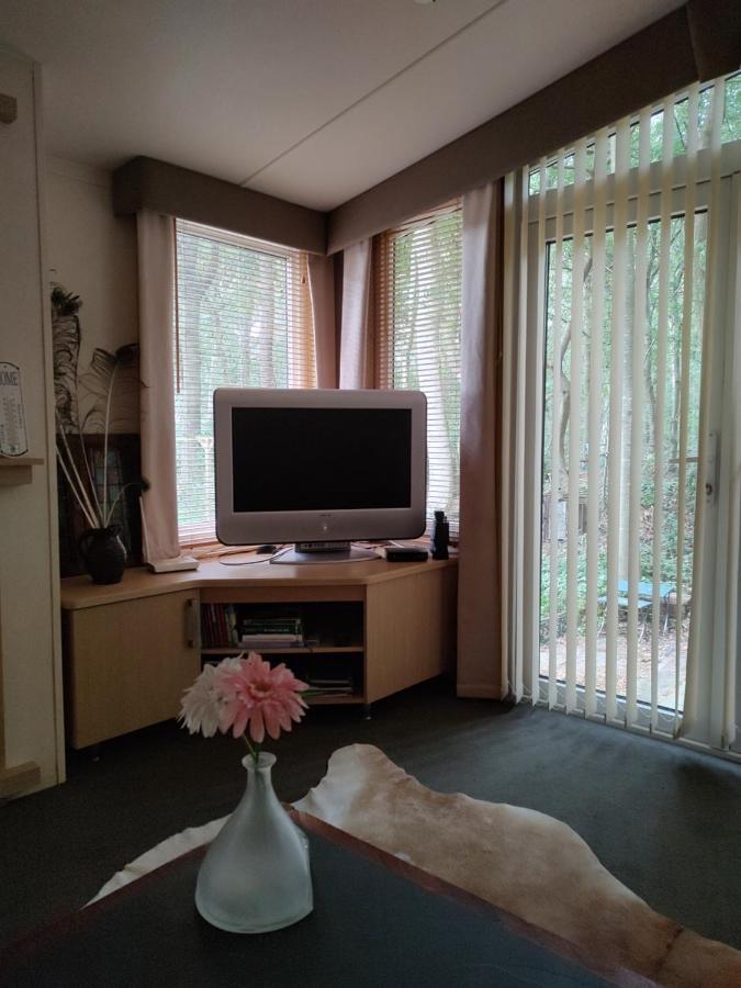 Chalet Met Veranda Aan Bosrand Vledder Екстер'єр фото